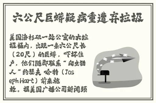 丰满的㥰子3理论